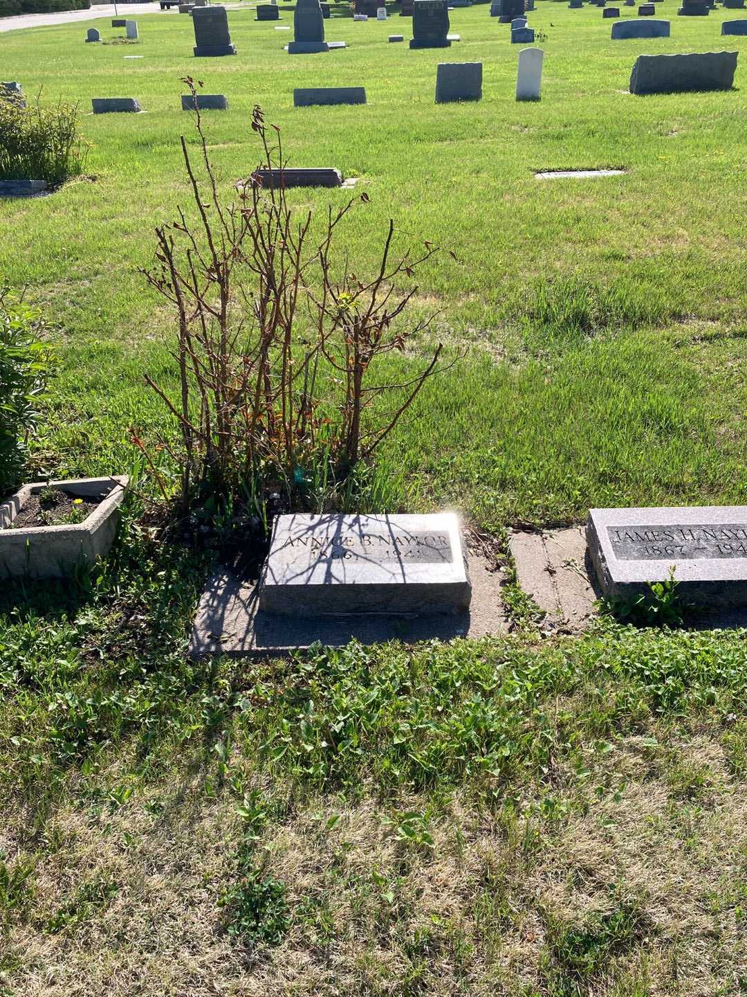 Annice Belle Naylor's grave. Photo 2