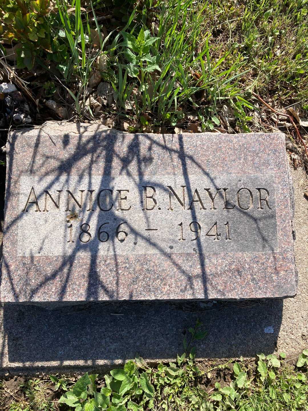 Annice Belle Naylor's grave. Photo 1