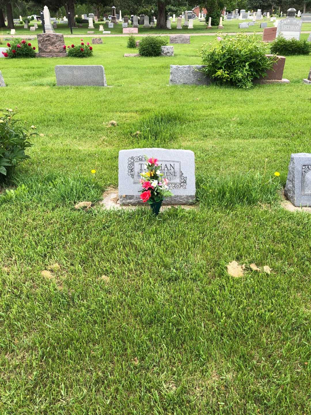 Helen Irene Tarman's grave. Photo 2