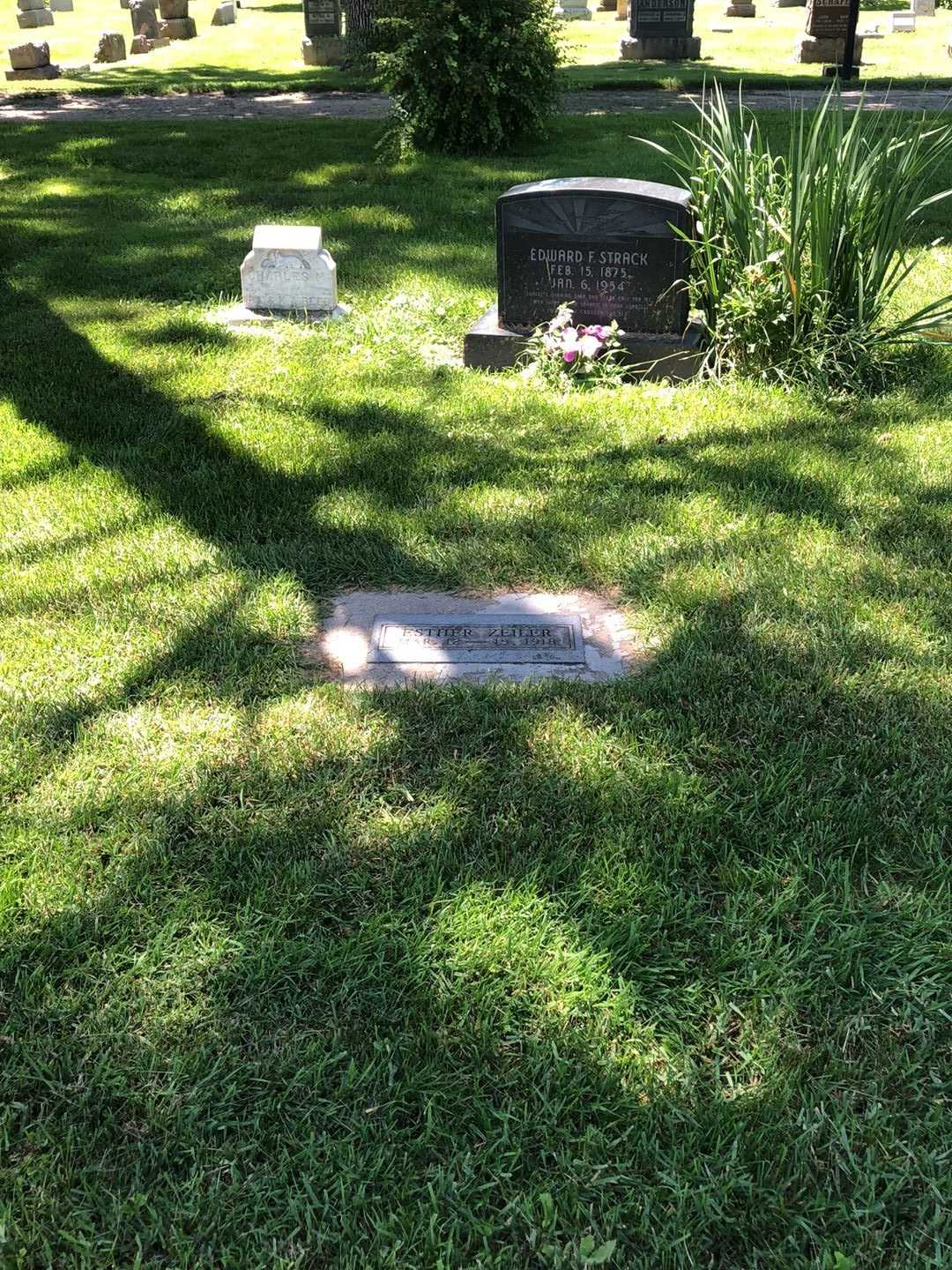 Esther Zeiler's grave. Photo 2