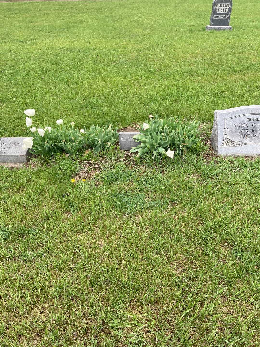 Levi A. W. Burwell's grave. Photo 1