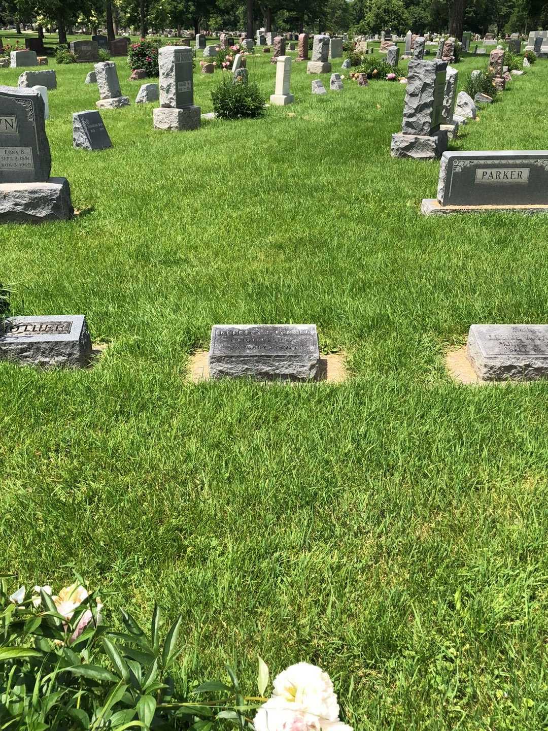 Infant Easton's grave. Photo 2