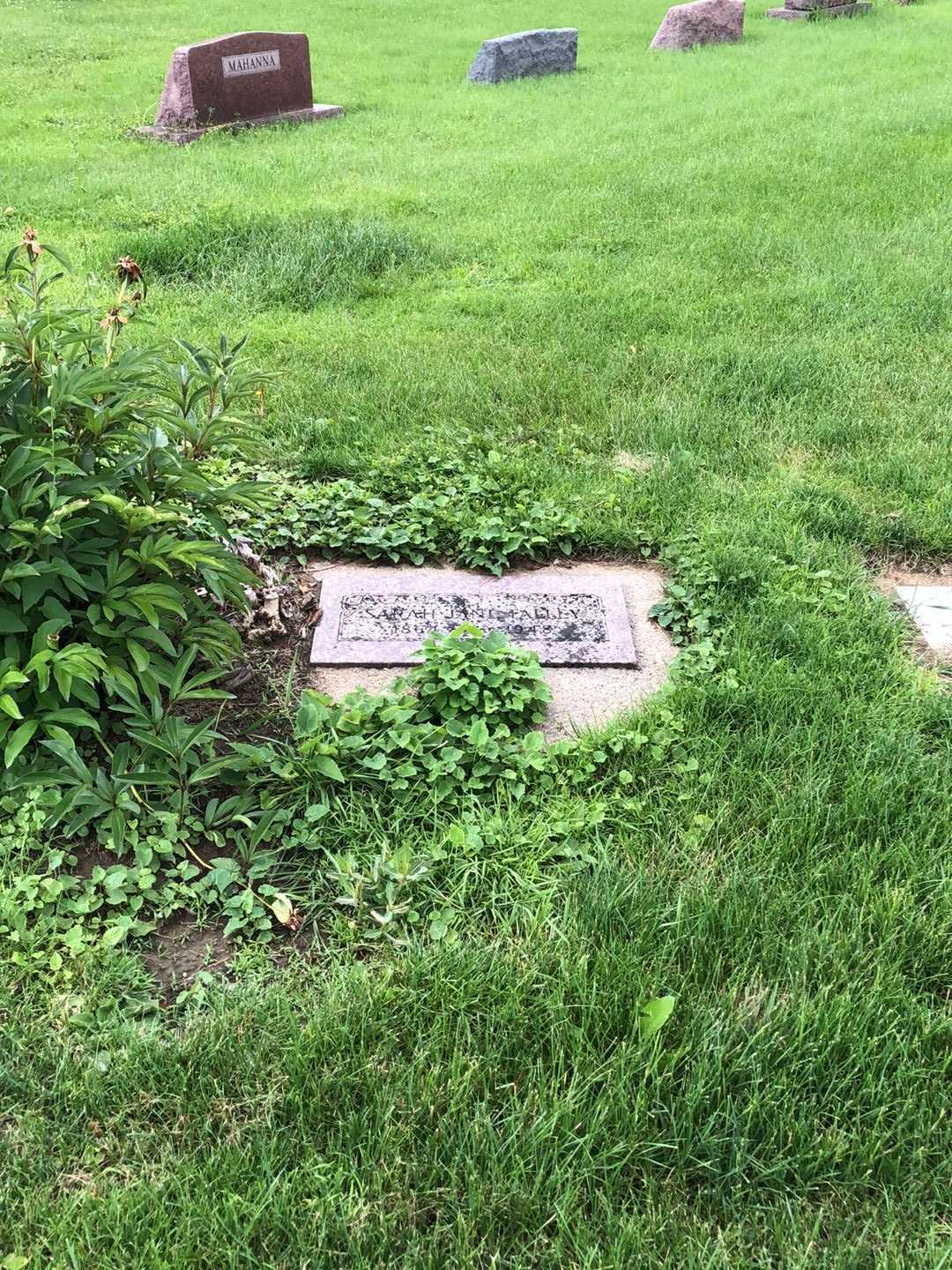 Sarah Jane Talley's grave. Photo 1