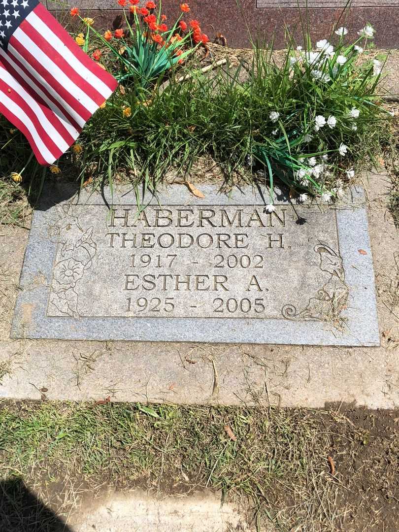 Theodore H. Haberman's grave. Photo 4