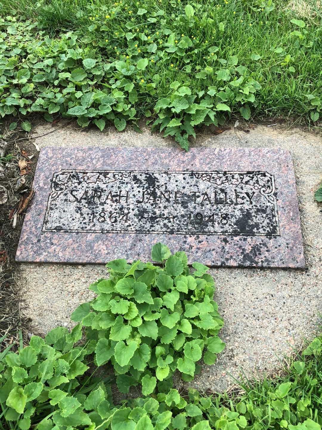 Sarah Jane Talley's grave. Photo 2