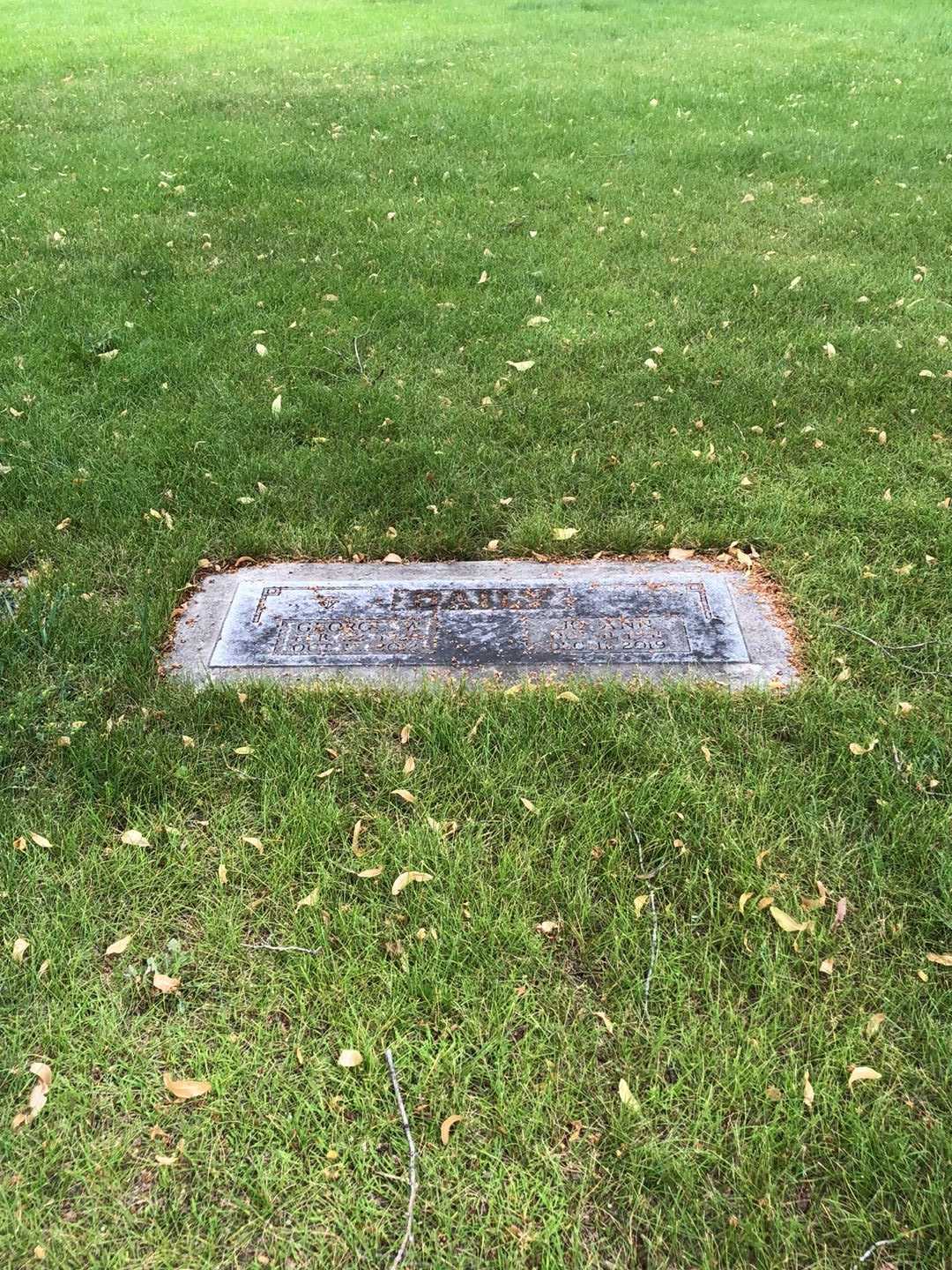 George Webster Daily's grave. Photo 1