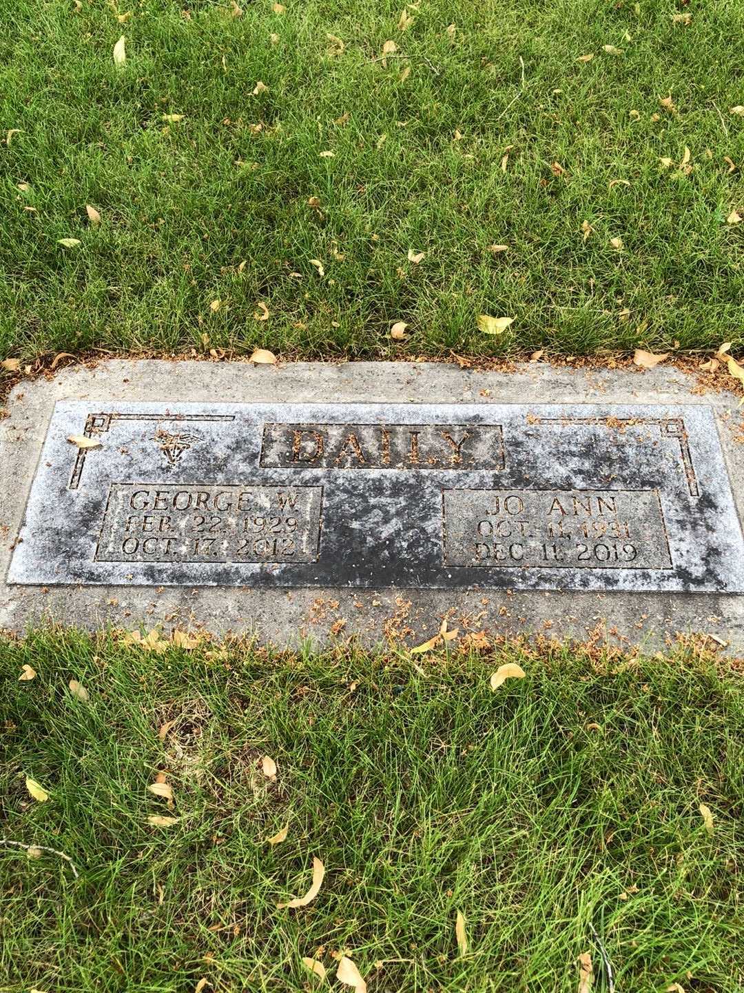 George Webster Daily's grave. Photo 2