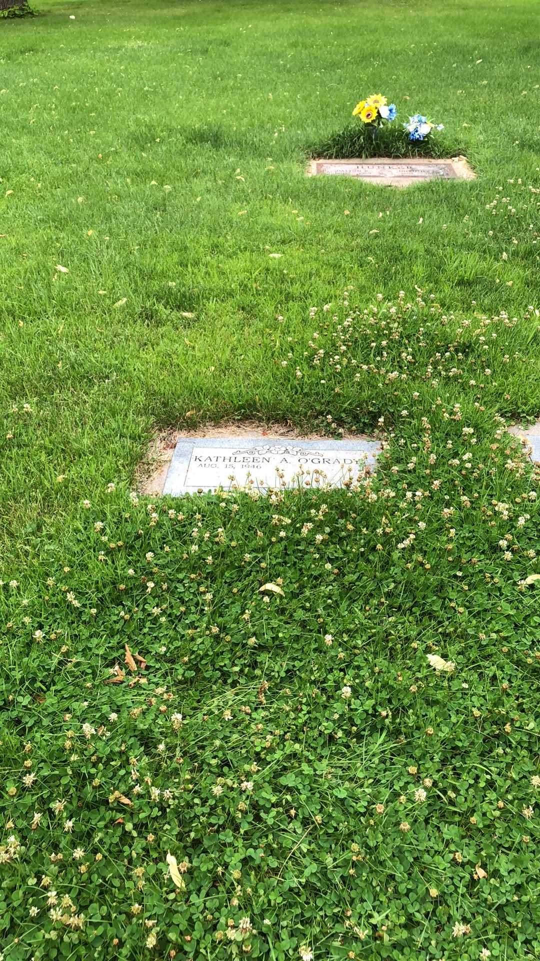 John James O'Grady's grave. Photo 3