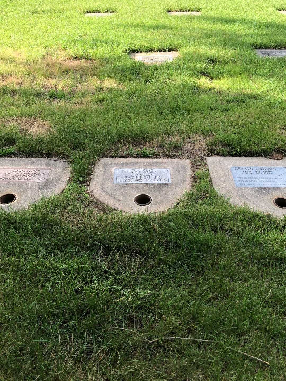 Reynaldo Pacheco Junior's grave. Photo 1