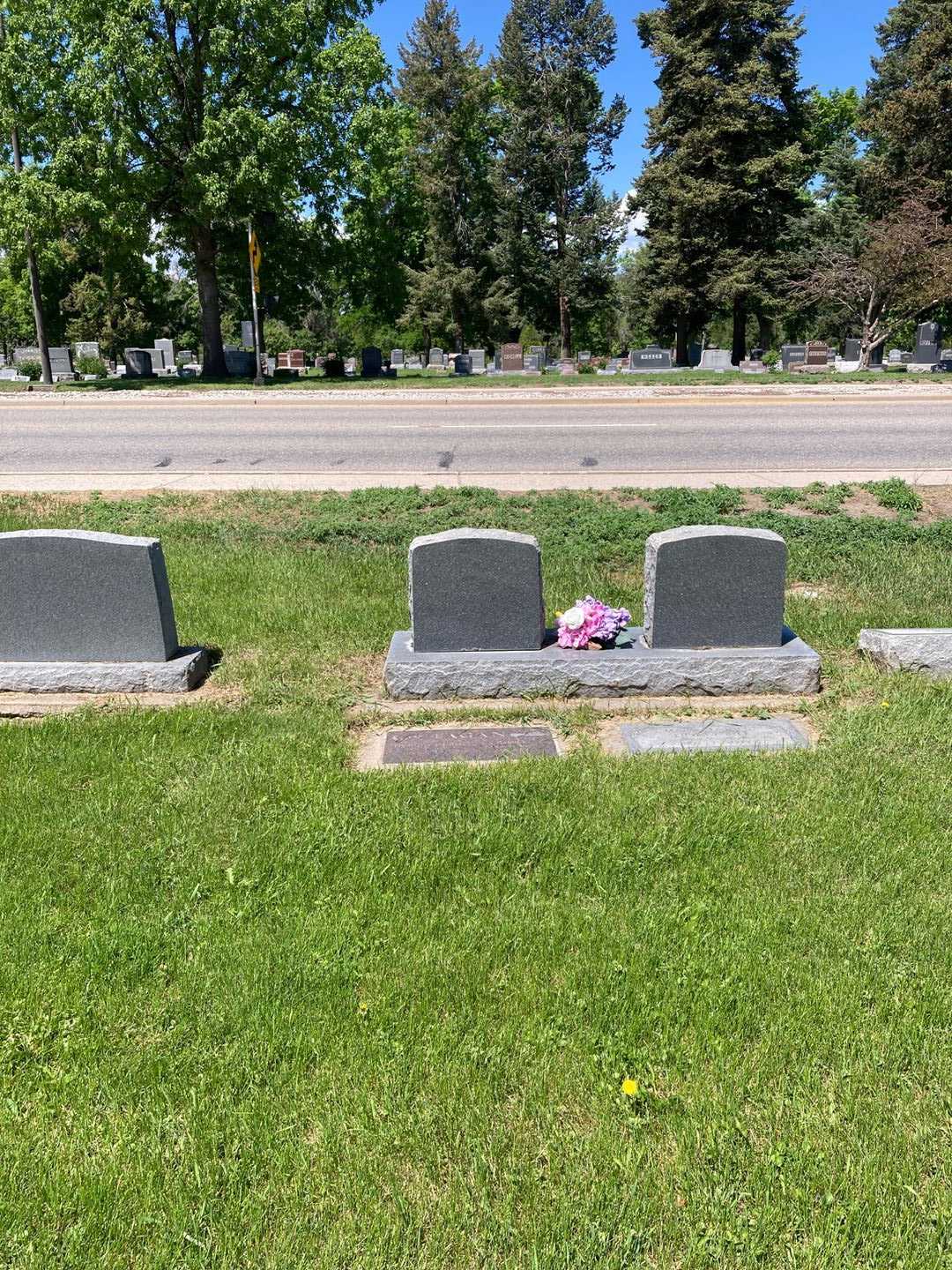 Ralph E. Fagan's grave. Photo 4