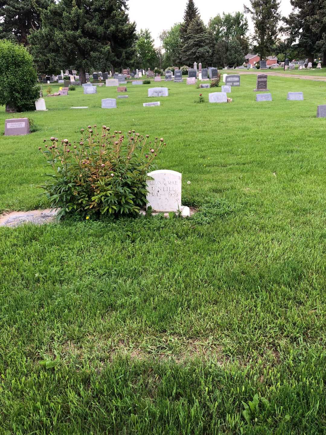 Leona Mae O'Neill's grave. Photo 1