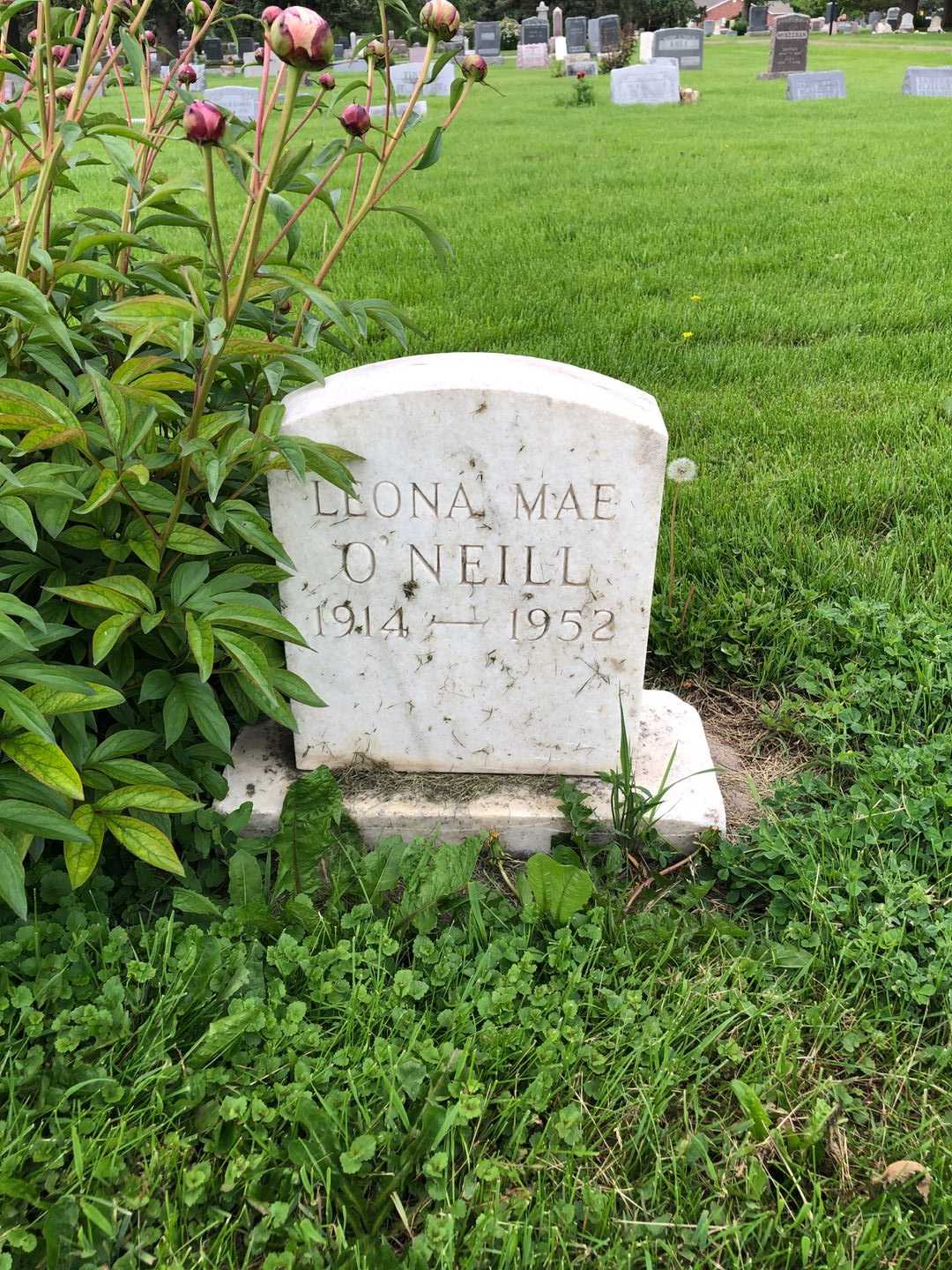 Leona Mae O'Neill's grave. Photo 2