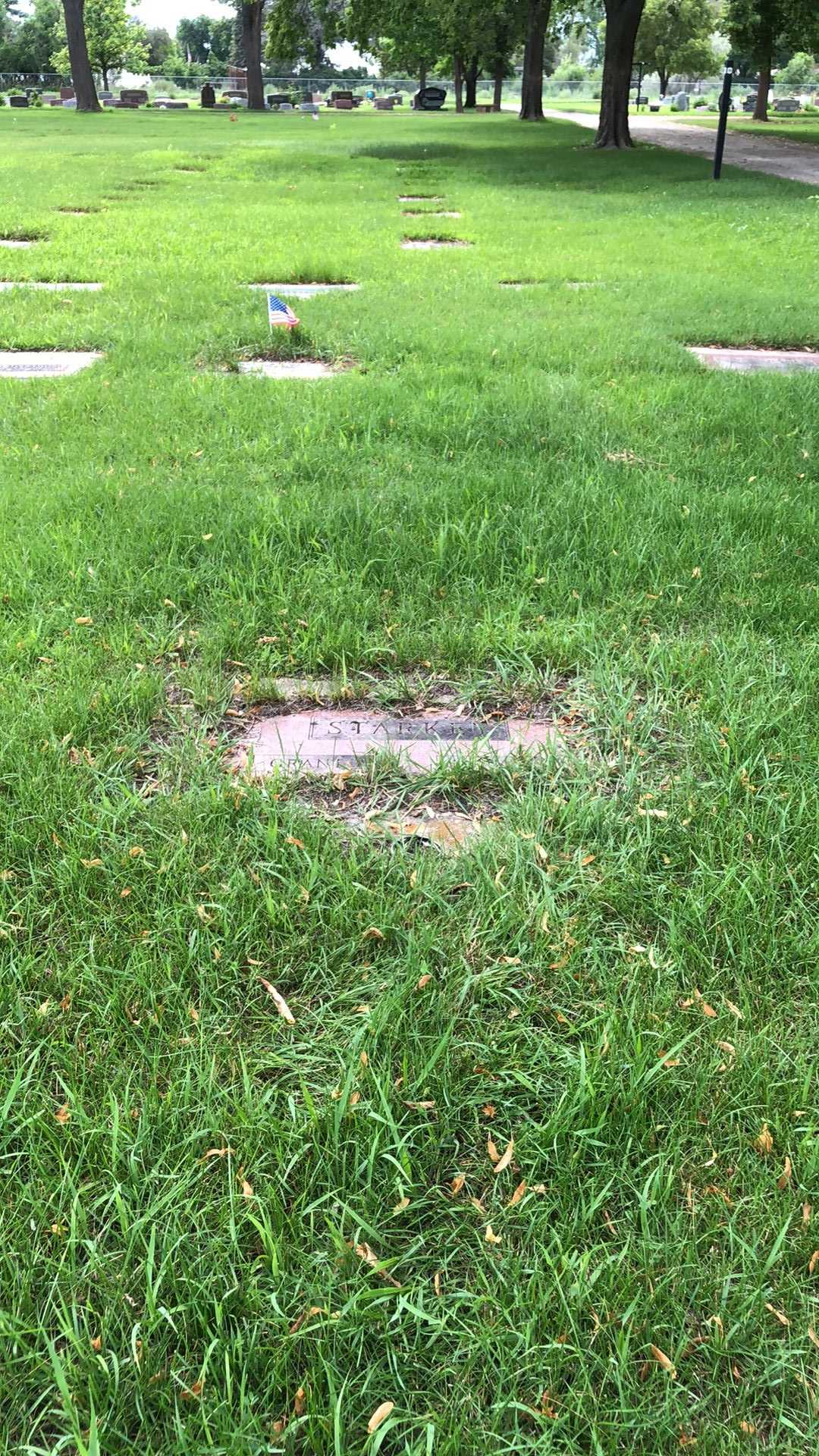 Marguerite O'Connell's grave. Photo 2