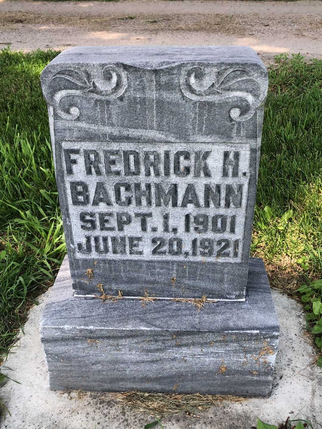 Fredrick H. Bachmann's grave. Photo 1