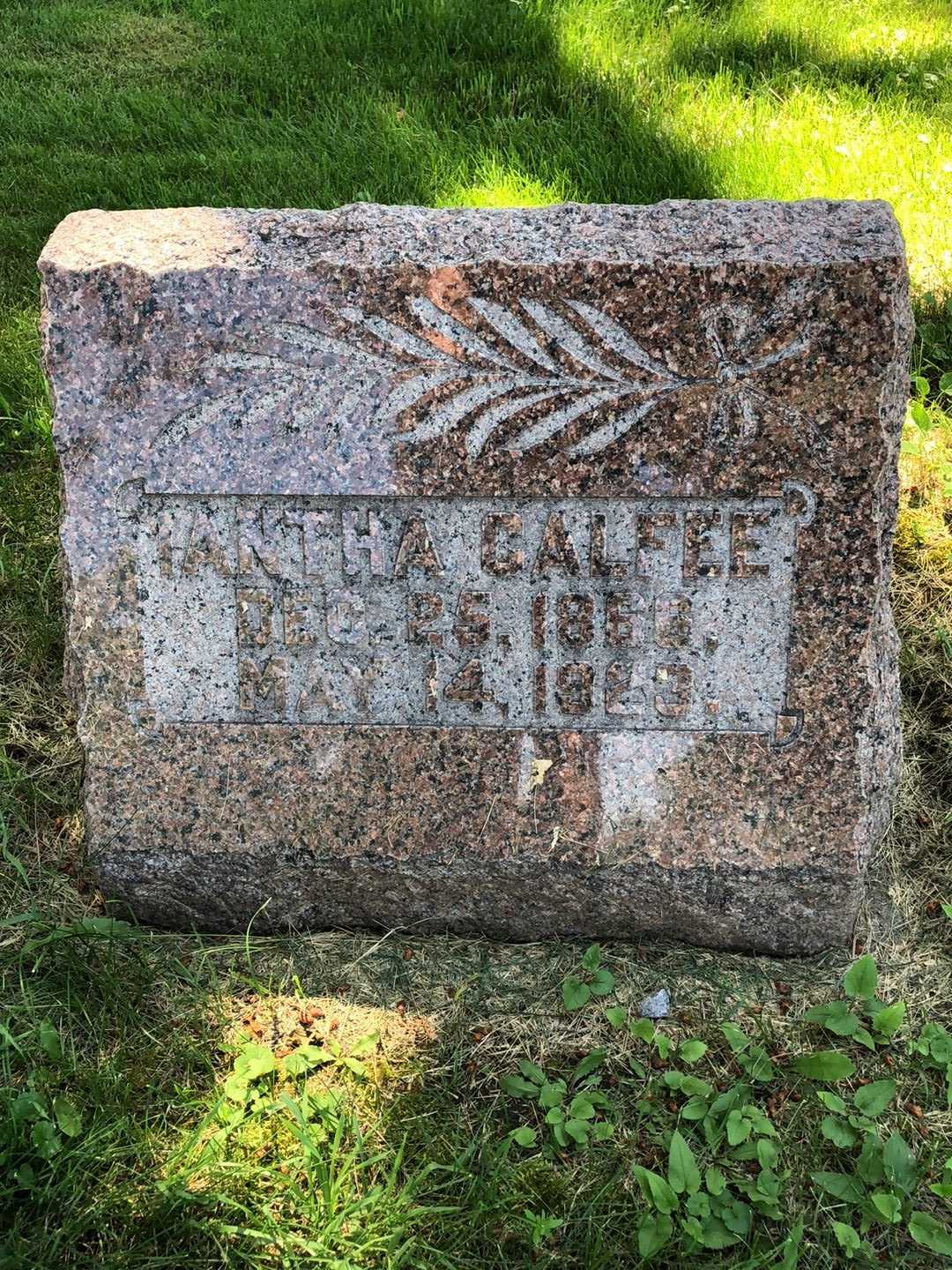 Iantha Calfee's grave. Photo 1