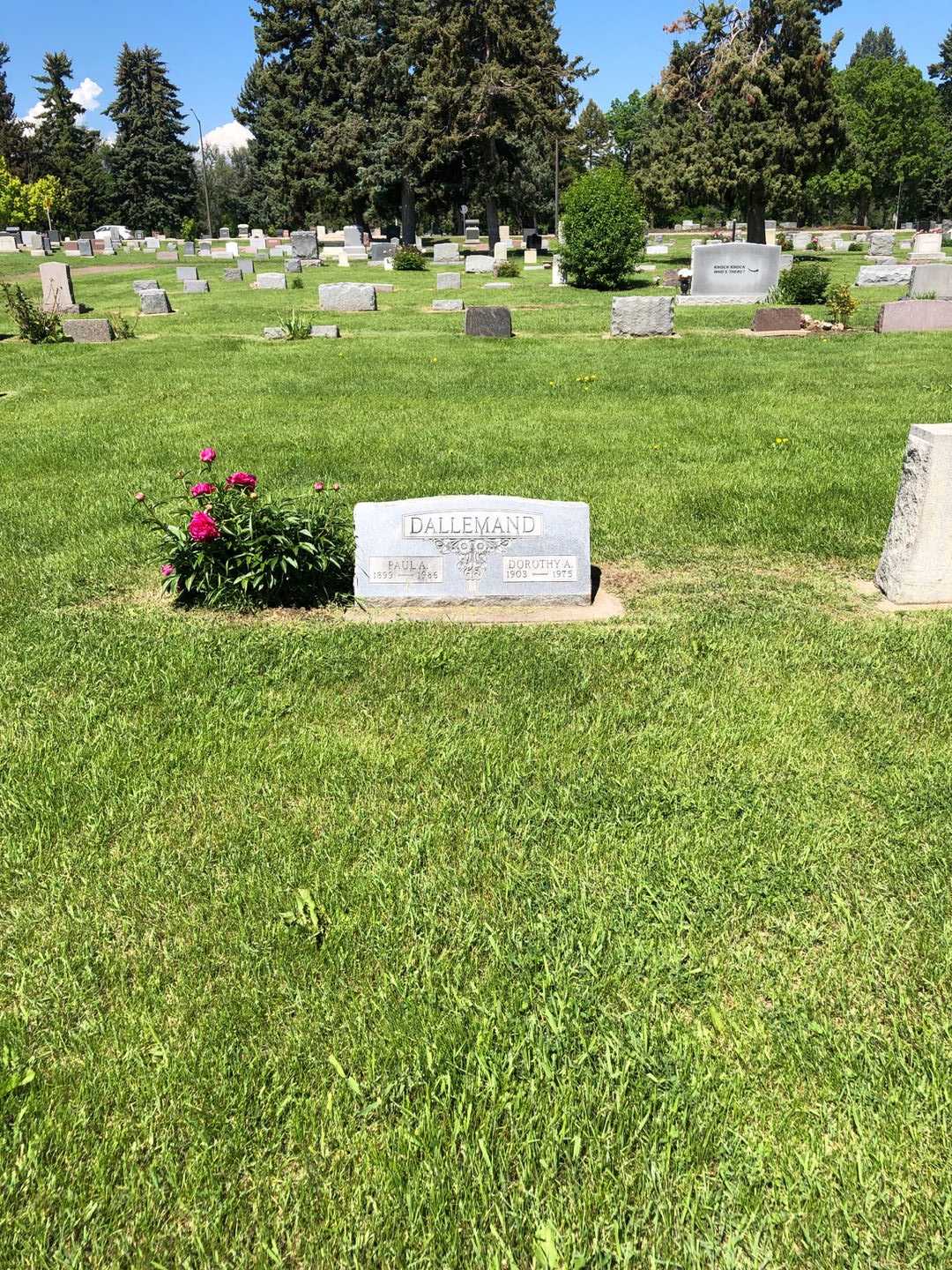 Dorothy A. Dallemand's grave. Photo 1