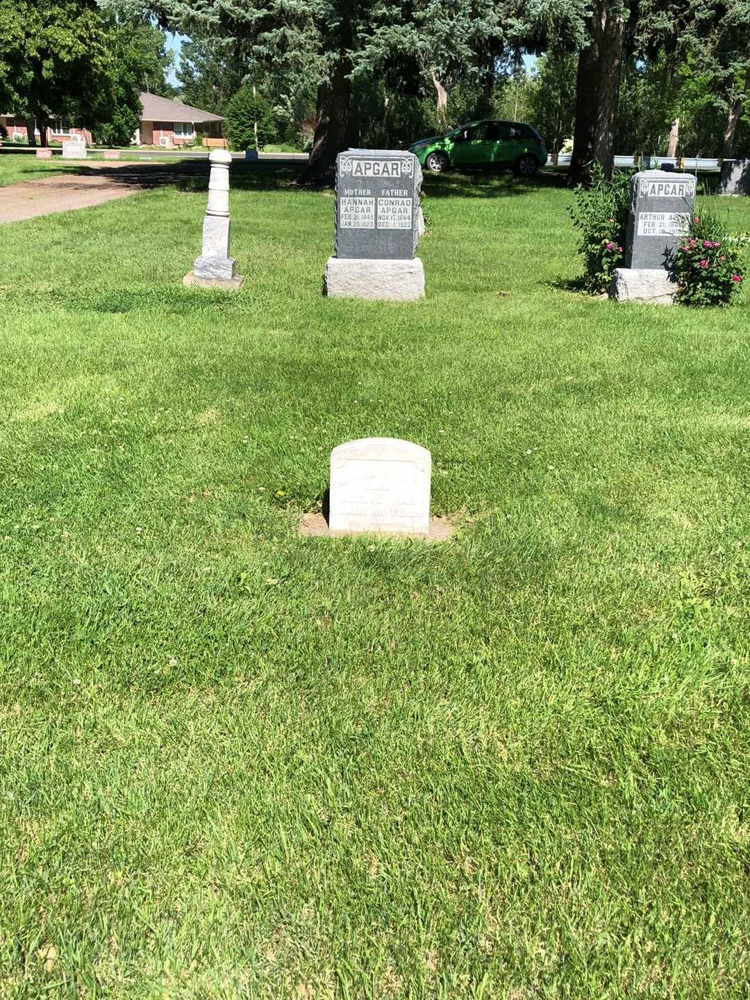 Konrad Kalmer's grave. Photo 2
