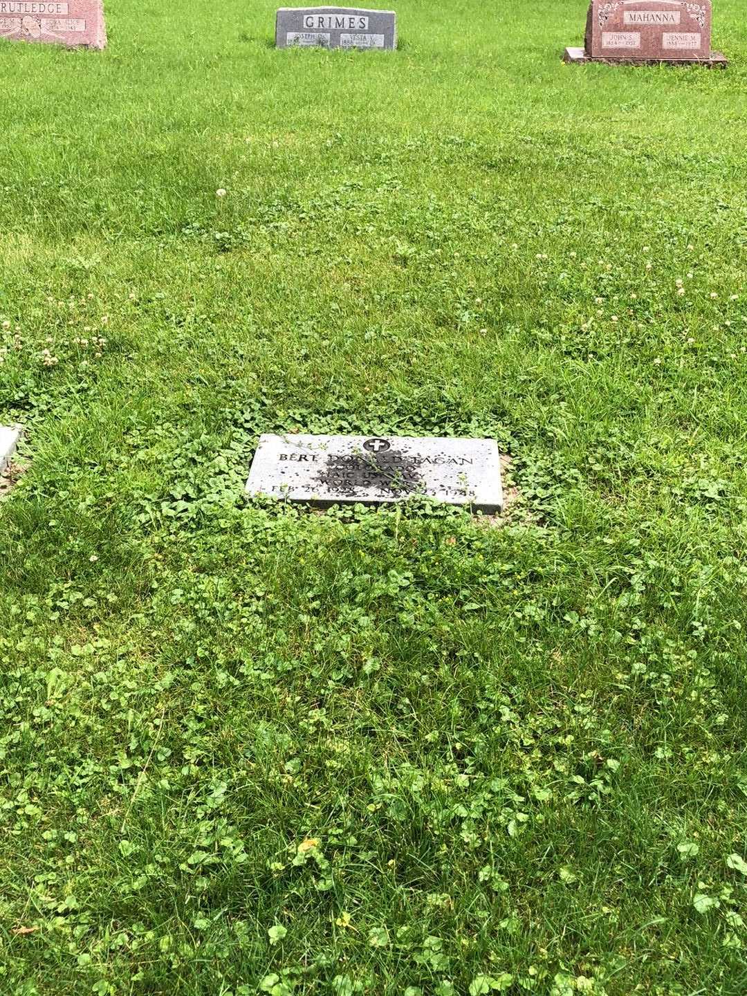 Bert Donald Fagan's grave. Photo 1