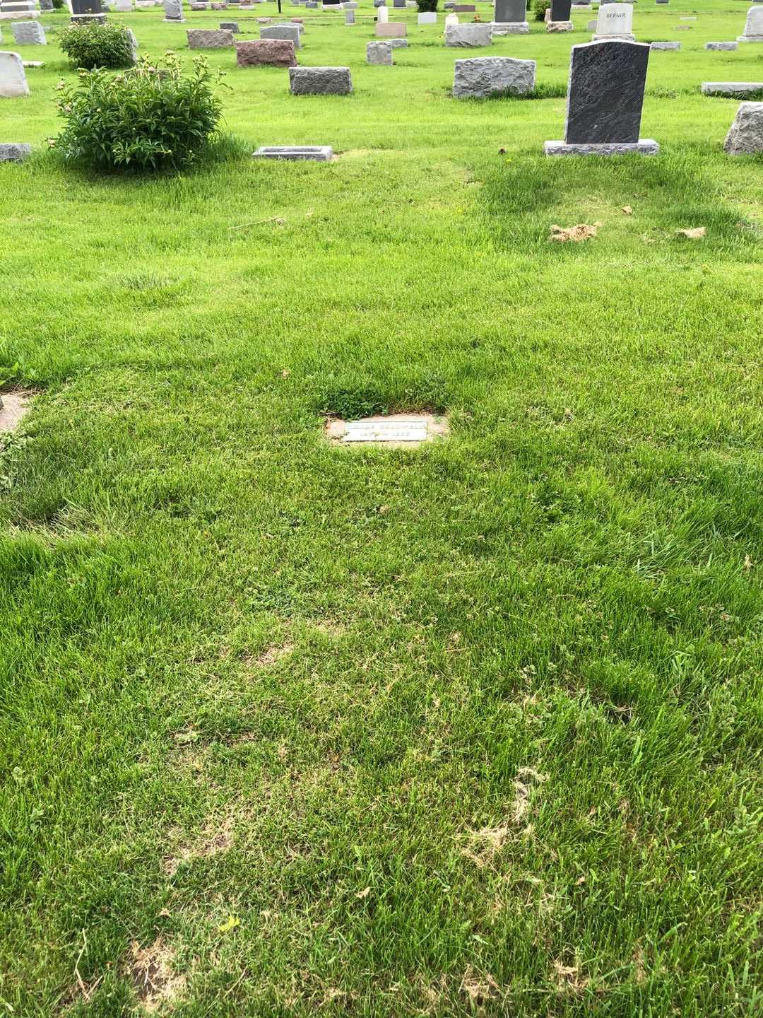 Lillas Caldwell's grave. Photo 2