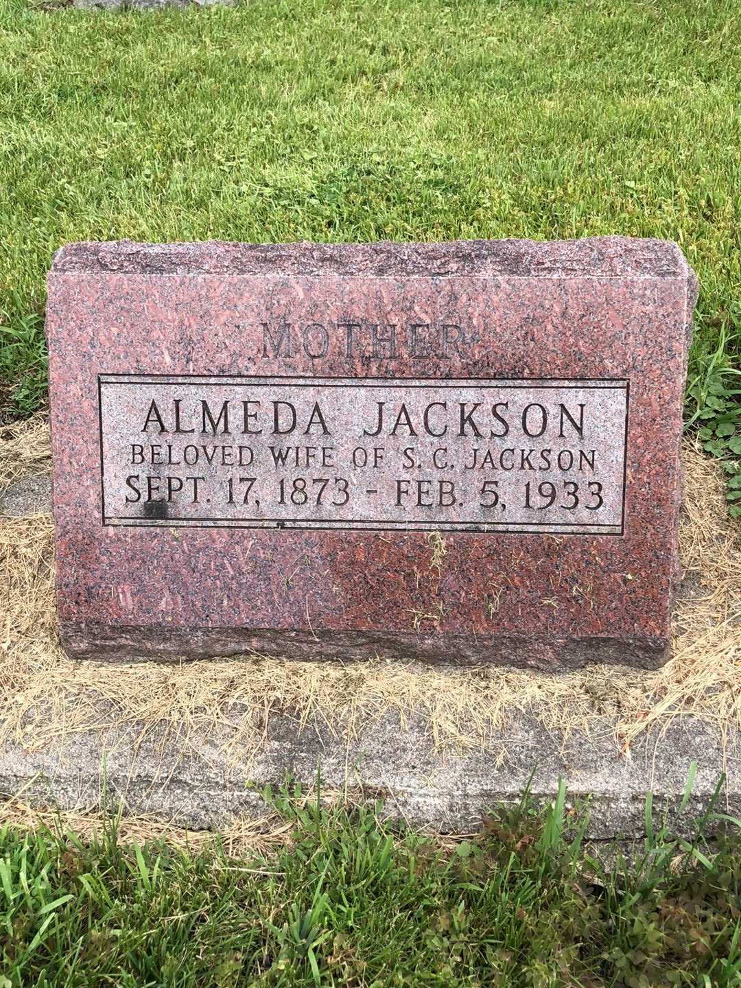 Mary Almeda Jackson's grave. Photo 5